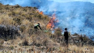 Incendios forestales afectan más de 300 hectáreas en Arequipa