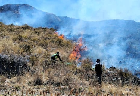 Incendios forestales afectan más de 300 hectáreas en Arequipa