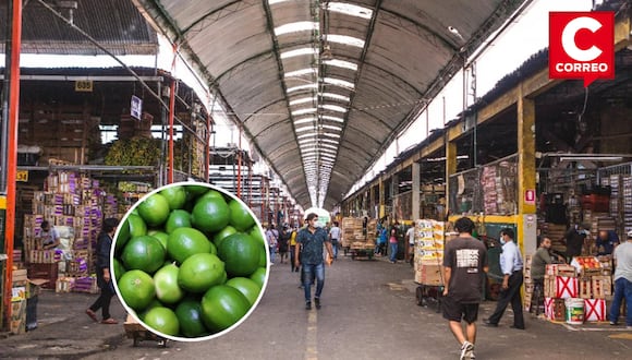 Comerciantes optan por el limón colombiano antes alza de precios.