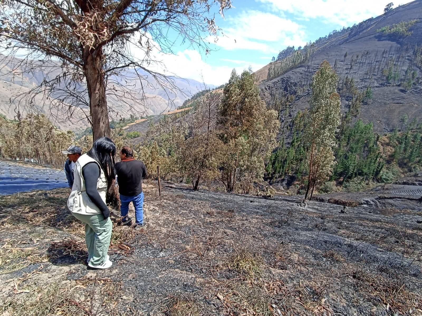 Huánuco: incendio destruye cultivos de fresa y causa muerte de animales en Huandobamba