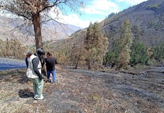 Huánuco: incendio destruye cultivos de fresa y causa muerte de animales en Huandobamba