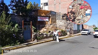 Arequipa: Vivienda en litigio es nido de ratas y municipio de Cerro Colorado no puede intervenir (VIDEO)