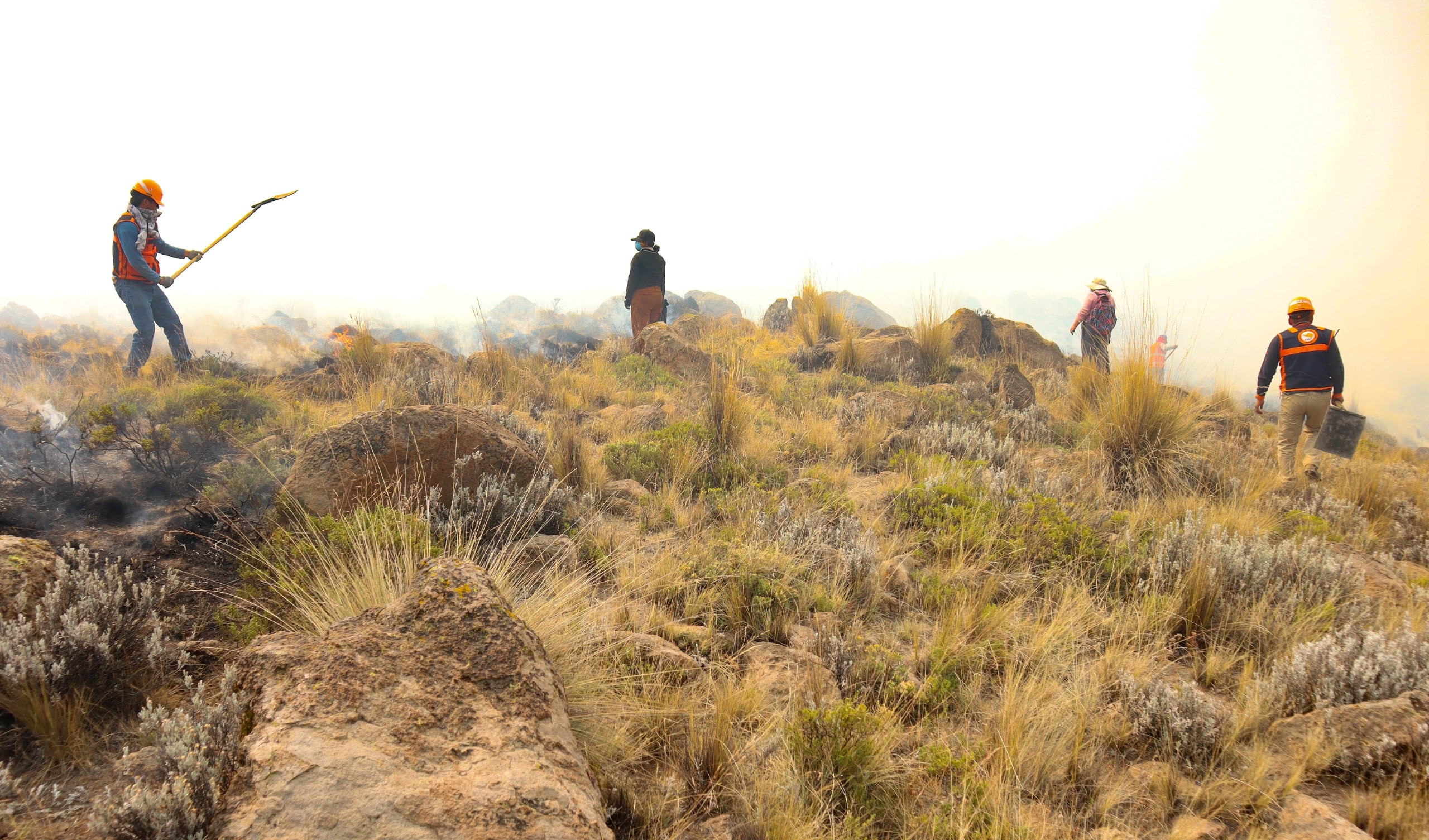 Pobladores y trabajadores de diferentes instituciones tratan de controlar el incendio foestal en el distrito de Toro en La Unión