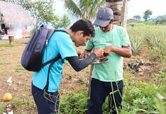 Junín: 151 casos de dengue y 24 hospitalizados con evolución favorable