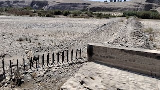 Pisco: Agricultores piden declarar emergencia hídrica ante sequía que amenaza más de 10 mil hectáreas