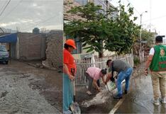 Palpa: lluvias intensas afectan hasta cuatro viviendas en el distrito de Río Grande