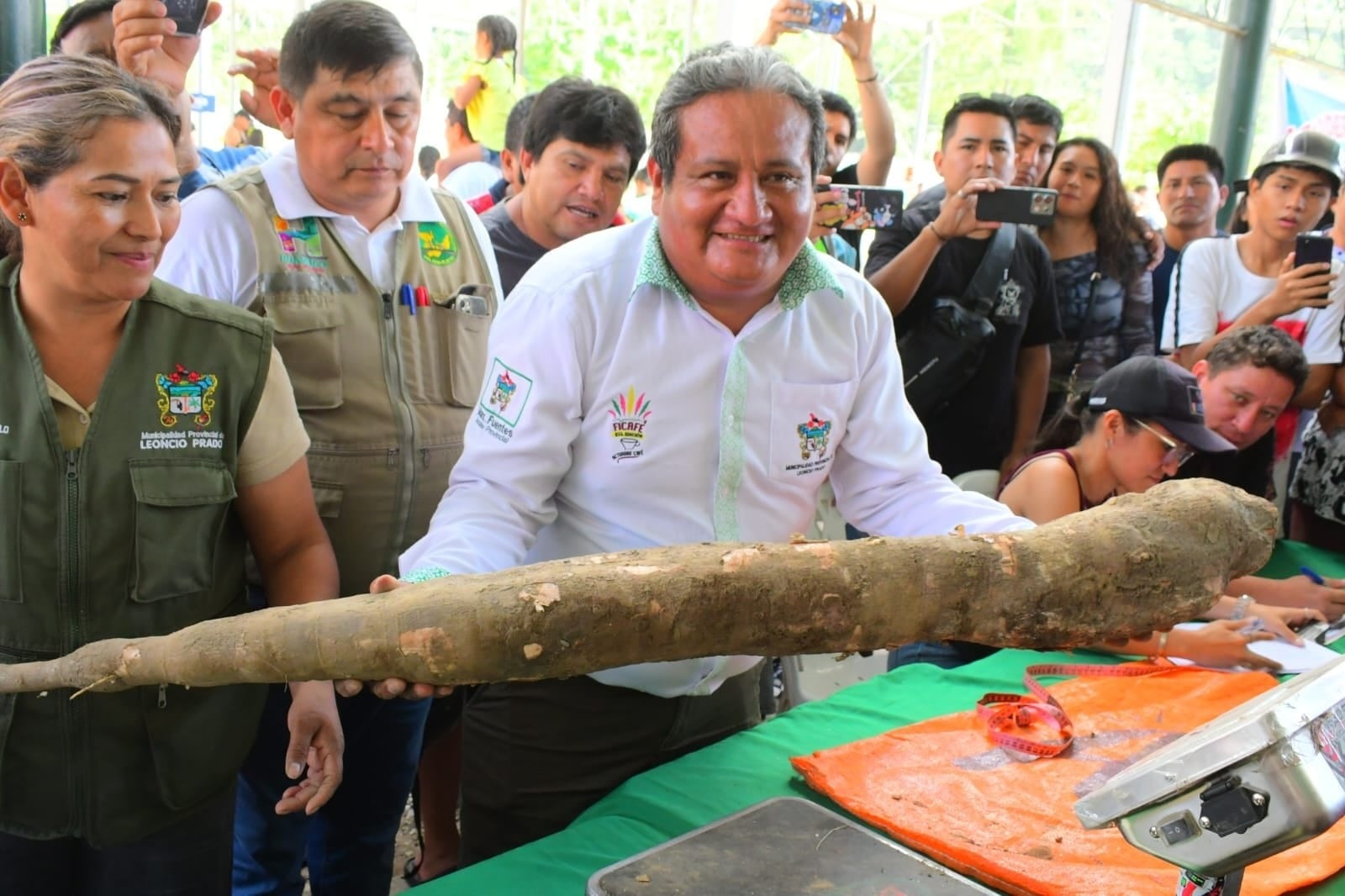 Admiración por producción de yuca gigante