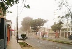 Senamhi activa alerta amarilla por vientos fuertes en la costa de Arequipa