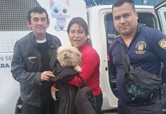 Agentes de Seguridad Ciudadana de Trujillo encuentran a perro extraviado