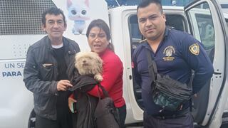 Agentes de Seguridad Ciudadana de Trujillo encuentran a perro extraviado