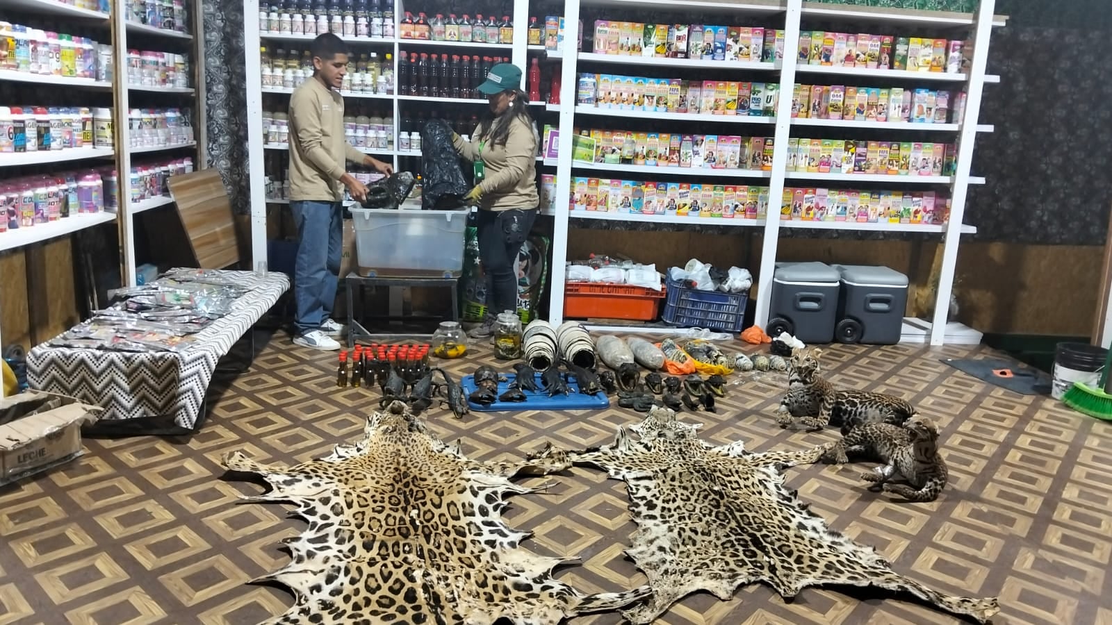 Operación realizada en una granja rural de la provincia de Caravelí. Foto: Serfor.