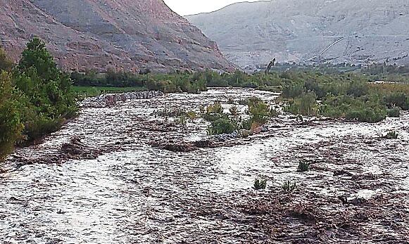 Afectación a sembríos y anexos de distritos de Arequipa. (Foto: Difusión)