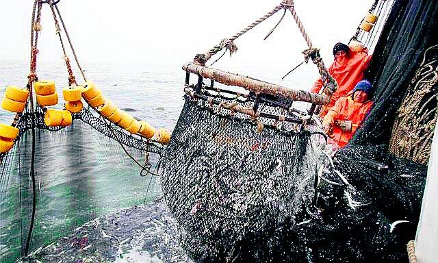 La pesca anotó casi un punto adicional al crecimiento de la economía en mayo.