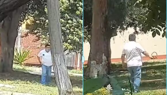El concejal fue grabado en video, cerca de su casa, cuando paseaba a su mascota y luego colocaron las imágenes en las redes sociales de la MPT con el título: “Miren este zángano, qué buena vida”.