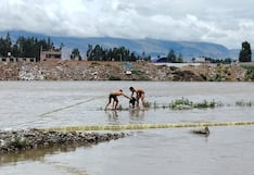 Huancayo: Rottweiler queda atrapado en islote del río Mantaro y es rescatado