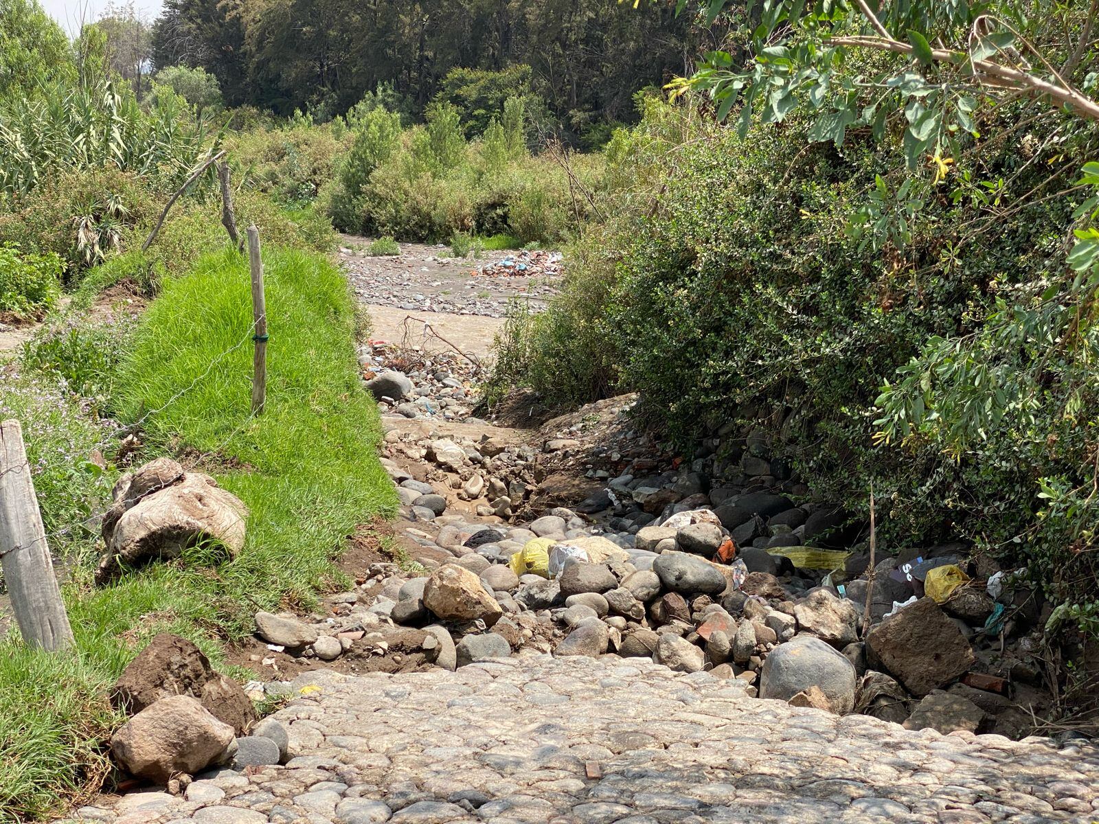 Afectación de cultivos en Arequipa por ingreso de torrentera. (Foto: GEC)