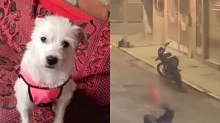 Exigen la pena máxima contra hombre que mató a golpes a perrita en Trujillo