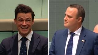 Diputado gay le pide matrimonio a su pareja en plena sesión del parlamento australiano (VIDEO)
