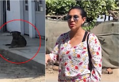 Ica: gestante denuncia ataque de perro y dueña se deslinda de responsabilidad