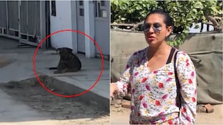 Ica: gestante denuncia ataque de perro y dueña se deslinda de responsabilidad