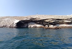 Pisco: Isla Blanca conserva su biodiversidad en la Reserva Nacional de Paracas