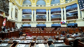 Congreso vota hoy ampliación del Reinfo