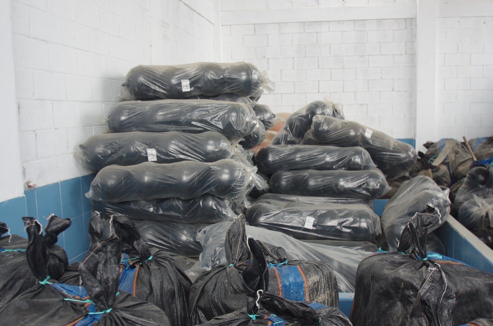 Apoya a productores de concha de abanico.