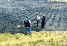 Pisco: Fiscalía Ambiental de Ica investiga incendio forestal en San Andrés