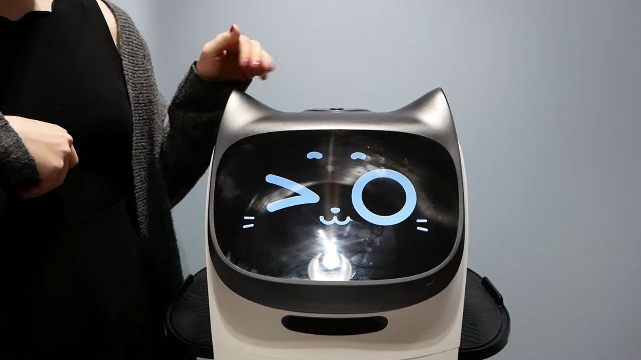 El 'Gato Robot Mesero' ha causado furor en un restaurante de Lima. (Foto: composición EC)