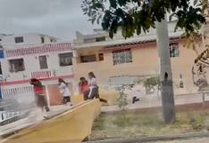 Enjambre de abejas ataca a escolares y docentes en el Paseo Yortuque, en Lambayeque