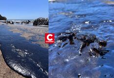 Derrame de petróleo en Lobitos afecta fauna marina