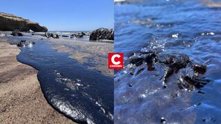 Derrame de petróleo en Lobitos afecta fauna marina