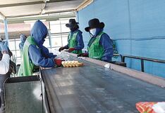 Sociedad Green Futuro: Arequipa pierde dinero al no reciclar basura