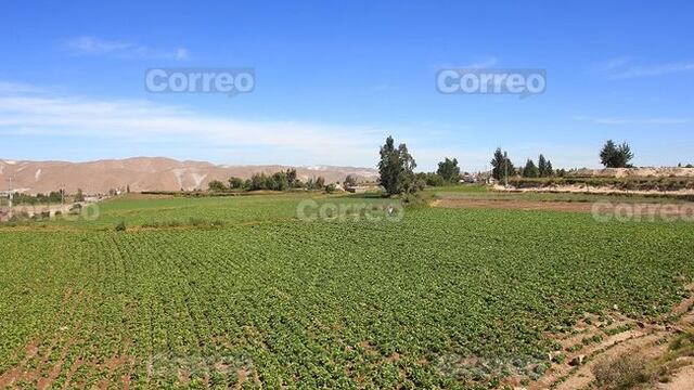 ANA: Desde el 13 se podrá regularizar derecho de uso de agua