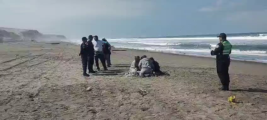 Hallan cadaver de pescador de Talara que estaba desparecido tras naufragio. Foto: Captura Chisme Noticias