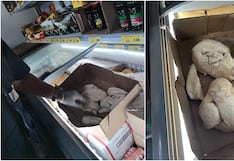 Chincha: hallan carne de pollo en mal estado durante operativo en locales de Grocio Prado
