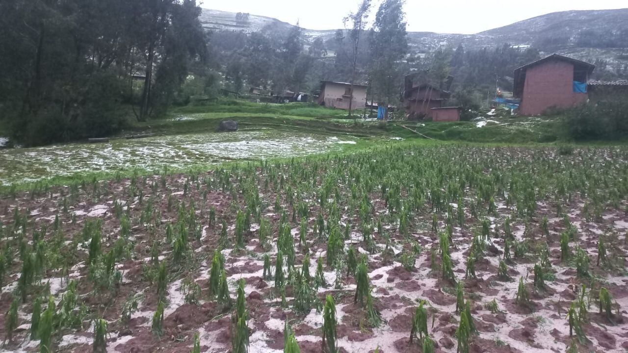 Unas 70 familias de Santiago de Challas, distrito de la provincia de Pataz, están siendo duramente afectados por las torrenciales lluvias y granizo.