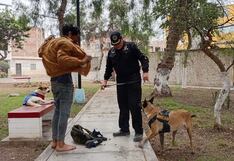 Trujillo: Intensifican operativos denominados “Despertar sin Drogas”