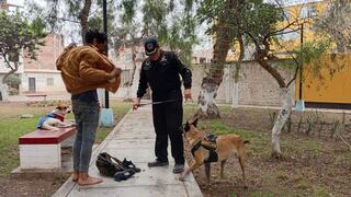 Trujillo: Intensifican operativos denominados “Despertar sin Drogas”