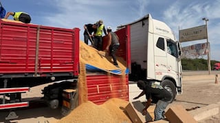 Nasca: descubren contrabando de cigarros y productos de aseo, ocultos entre toneladas de soya