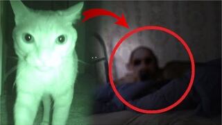 Cuatro señales que indican que tu mascota vio un fantasma (VIDEO)