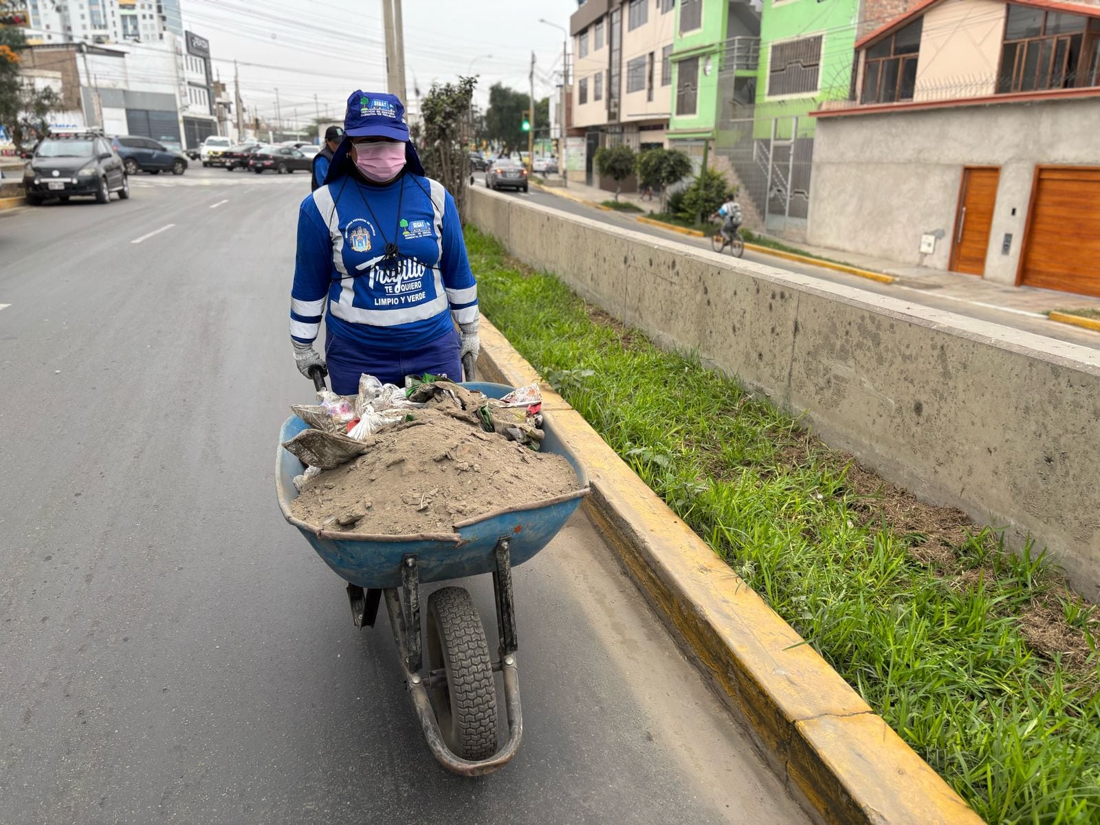Servicio de Gestión Ambiental realizó trabajos en la avenida Indoamérica.
