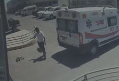 Tacna: Animalistas exigen sanción para chofer de ambulancia que mató a perrito