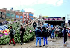 Tarma: Árbol de cortamonte cae sobre varón y lo deja grave