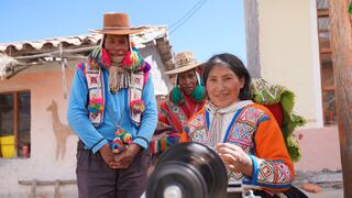 Alpaca Fiesta: Los mejores exponentes del sector textil camélidos en Arequipa desde el 21 de octubre