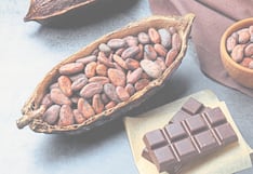 ¿Cómo enfrentar lo que le depara 2026 al café y al cacao?