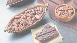 ¿Cómo enfrentar lo que le depara 2026 al café y al cacao?