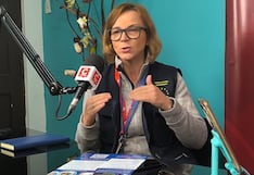 Sin intervenir, pero observando: Unión Europea sigue de cerca elecciones en el Perú (VIDEO)