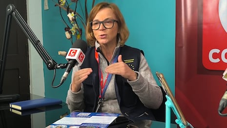 Sin intervenir, pero observando: Unión Europea sigue de cerca elecciones en el Perú (VIDEO)
