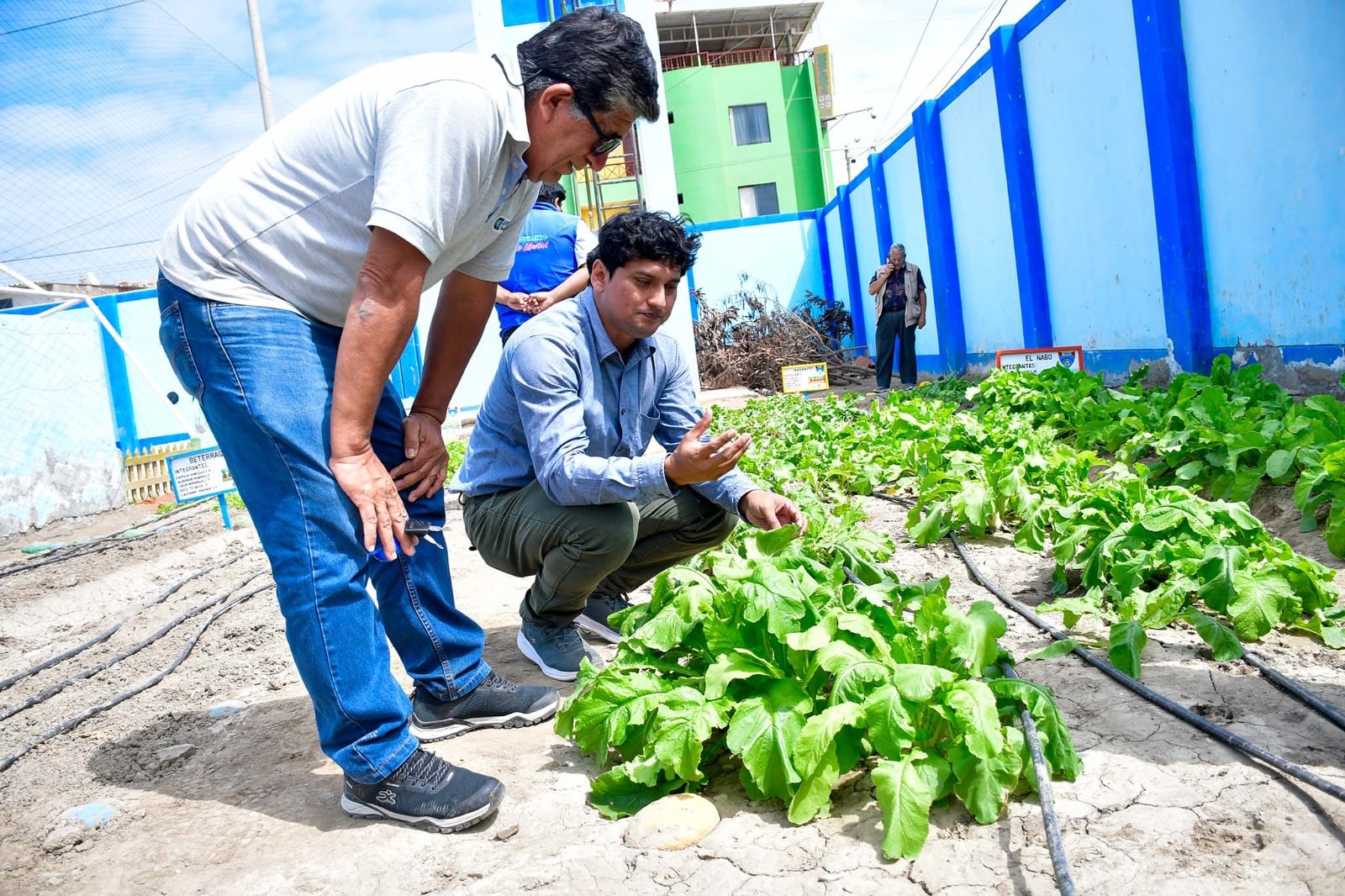 Agencia Agraria Ascope y Aprochicama impulsan educación agroecológica en beneficio de más de 300 estudiantes.
